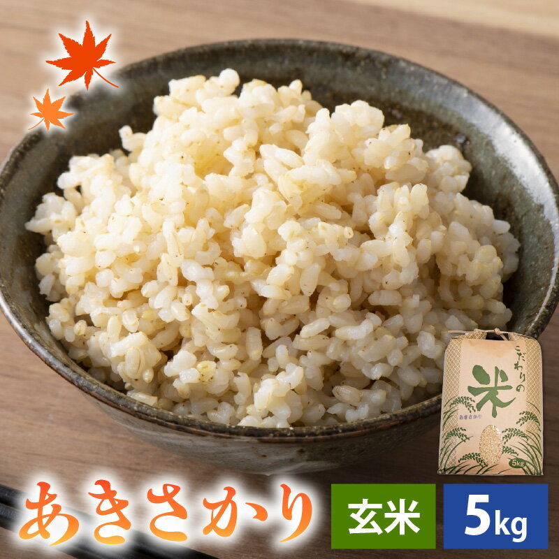 【福井県越前町】 送料無料！ほどよい粘りと甘み、ふっくら食感。コシヒカリ系統のお米です。　【ふるさと納税】【新米】 令和7年産 あきさかり 5kg 福井県産 コシヒカリ系統品種【玄米】【お米 アキサカリ 5キロ】 [e30-a092]