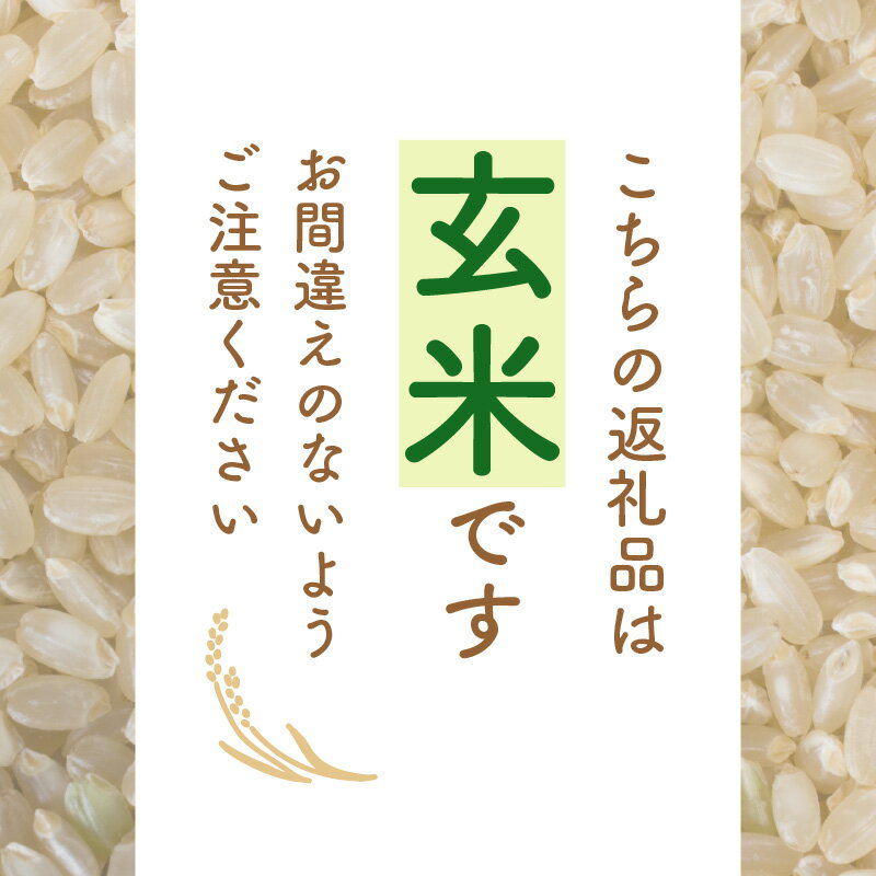 【福井県越前町】 送料無料！ほどよい粘りと甘み、ふっくら食感。コシヒカリ系統のお米です。　【ふるさと納税】【新米】 令和7年産 あきさかり 5kg 福井県産 コシヒカリ系統品種【玄米】【お米 アキサカリ 5キロ】 [e30-a092]