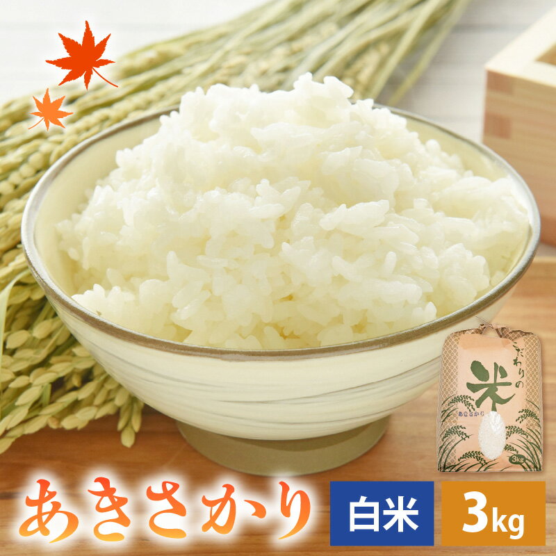 【福井県越前町】 送料無料！ほどよい粘りと甘み、ふっくら食感。コシヒカリ系統のお米です。　【ふるさと納税】【新米】 令和7年産 あきさかり 3kg 福井県産 コシヒカリ系統品種【白米】【お米 アキサカリ 3キロ】 [e30-a091]