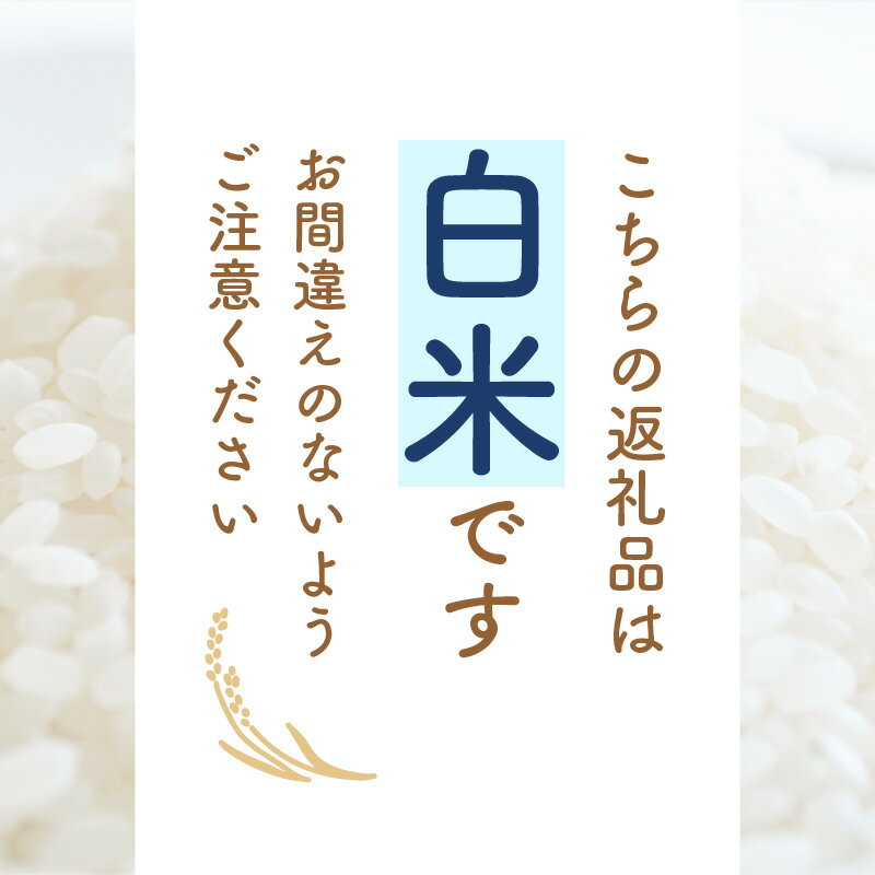 【福井県越前町】 送料無料！ほどよい粘りと甘み、ふっくら食感。コシヒカリ系統のお米です。　【ふるさと納税】【新米】 令和7年産 あきさかり 3kg 福井県産 コシヒカリ系統品種【白米】【お米 アキサカリ 3キロ】 [e30-a091]