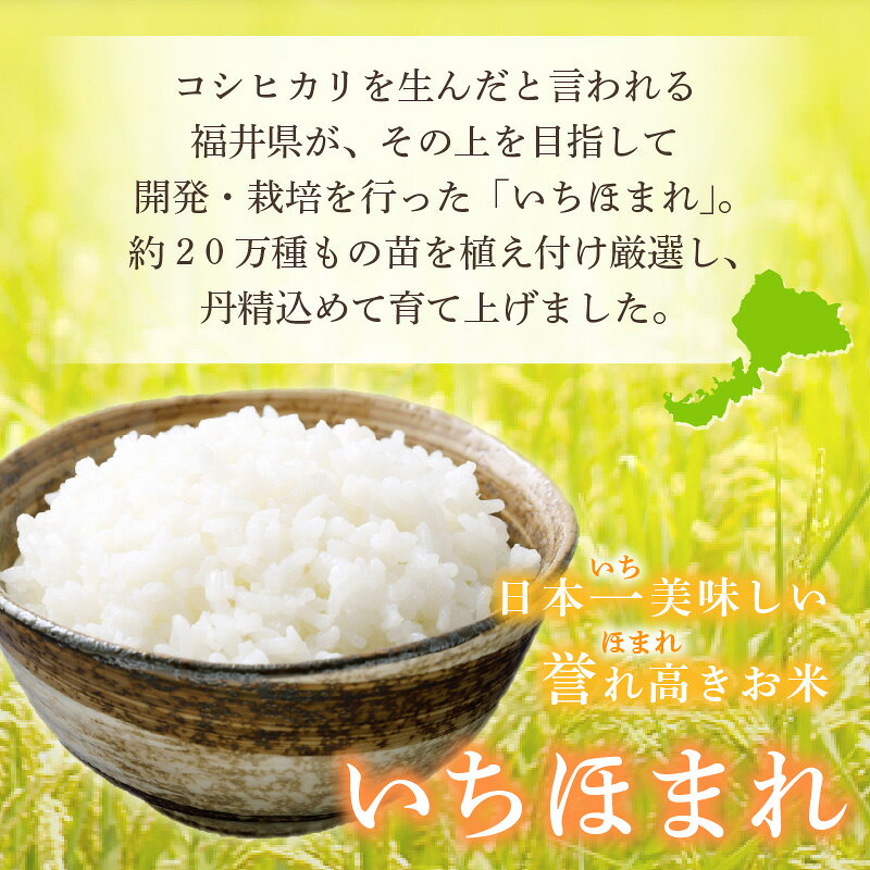 福井県越前町の画像3