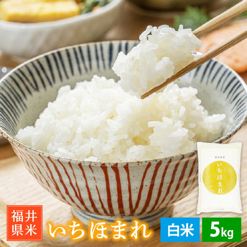 【ふるさと納税】 【新米】 令和7年産「福井県ブランド米」 特A通算6回獲得！お米 いちほまれ 5kg 福井県産【白米】【お米 5キロ 精米 人気品種】 [e30-b015]