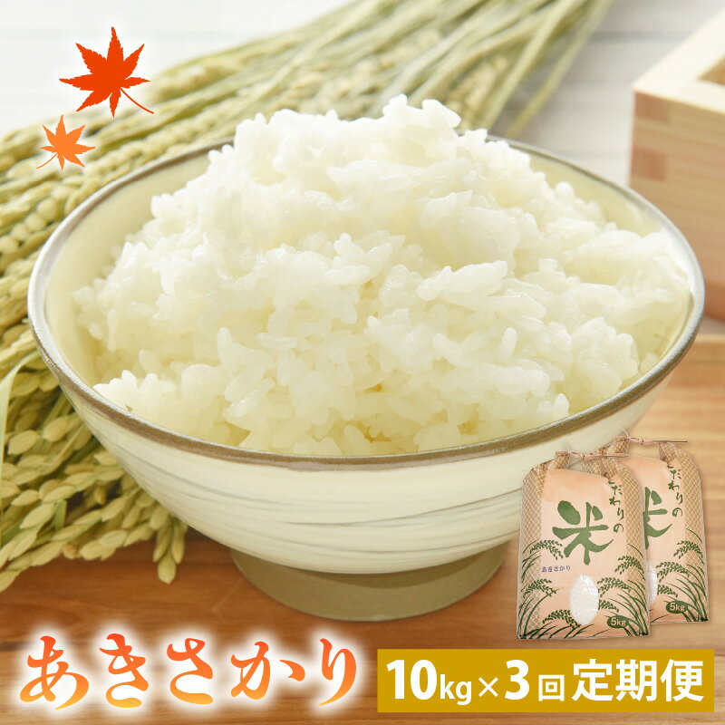 【ふるさと納税】定期便≪3ヶ月連続お届け≫あきさかり 10kg × 3回 令和6年 新米 福井県産 コシヒカリ系統品種【白米】【お米 アキサカリ 計30キロ】 [e30-e004]のサムネイル