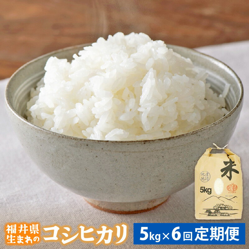 新米 定期便≪6ヶ月連続お届け≫コシヒカリ 5kg × 6回 令和4年 福井県