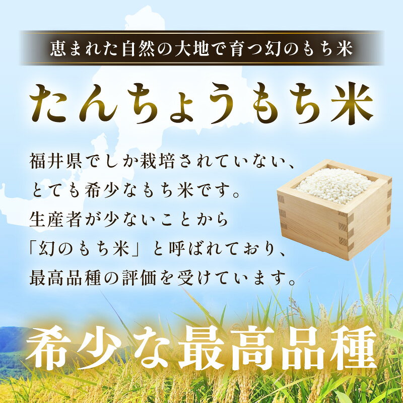 【ふるさと納税】【先行予約】年内発送 数量・期間限定！約3kg 80g × 39個 【2026年12月14日〜12月25日の期間に順次発送】【雑煮 年末年始 もち 御馳走 添加物不使用 2027年正月 御馳走】 f184233-echizen-10001166 福井県越前町 サンプル画像3