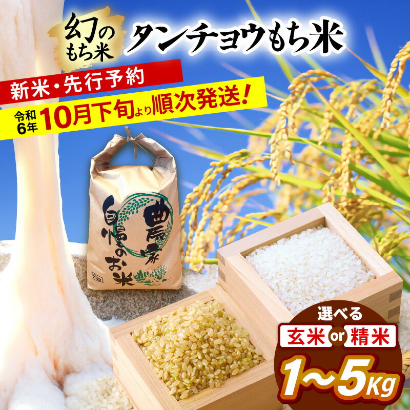 [新米・先行予約]幻のもち米 タンチョウもち米 (玄米) (白米) 1kg / 3kg / 5kg 令和6年産[お米 米 福井県産 もち モチ たんちょう おこわ 餅 おもち 4000円 常温 年末 赤飯 餅つき もち米 選べる容量 お試し][令和6年10月下旬より順次発送]