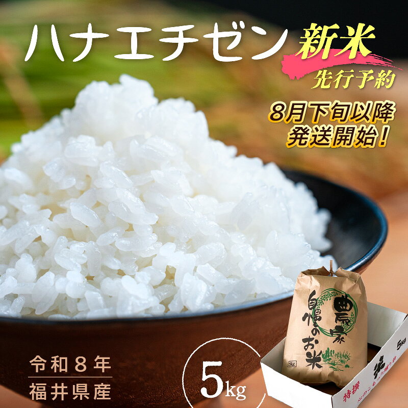 【ふるさと納税】【楽天限定】令和8年【新米】ハナエチゼン 5kg 福井県産【華越前 ...