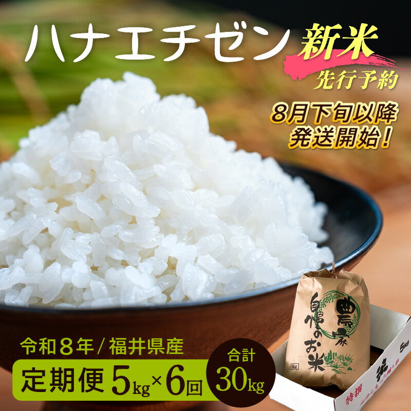 【ふるさと納税】【楽天限定】令和8年【新米】定期便≪6ヶ月連続お届け≫ ハナエチゼン 5kg×6回（計30kg）【華越前 はなえちぜん 人気品種 こしひかり 血統品種】【 玄米 対応可 】【2026年8月下旬以降発送開始！】[e35-h001]