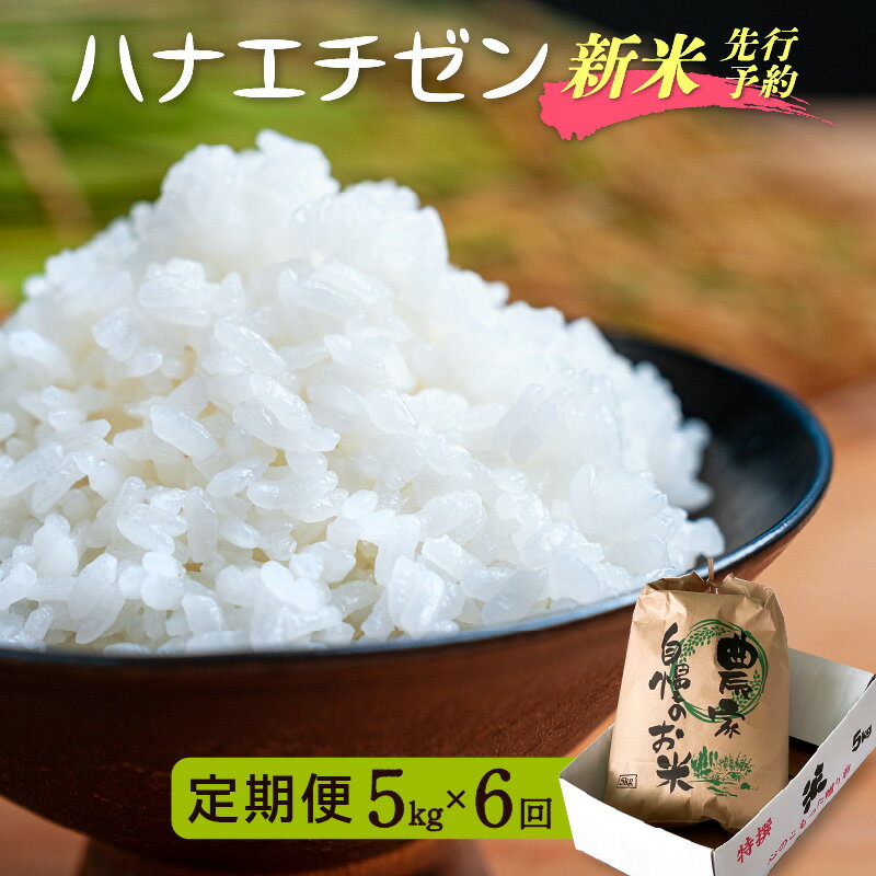 【ふるさと納税】【楽天限定】令和8年【新米】定期便≪6ヶ月連続お届け≫ ハナエチゼン 5kg×6回（計30kg）【華越前 はなえちぜん 人気品..