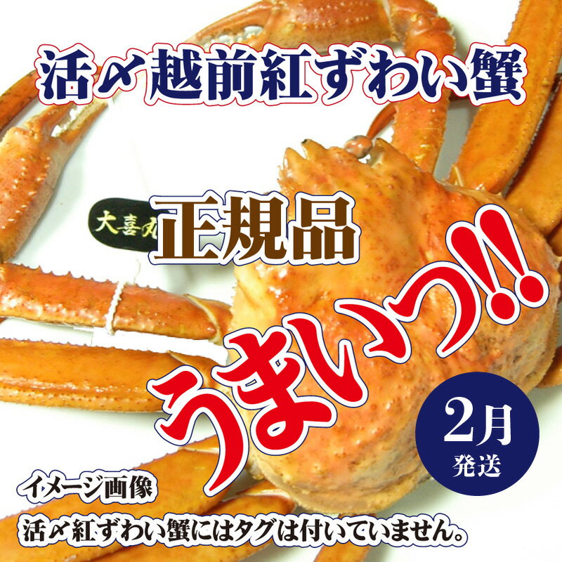 紅ズワイガニ 【ふるさと納税】活〆越前 紅ずわいがに × 1杯 旨味満載！！【浜茹で かに カニ 蟹 姿 ボイル 冷蔵 福井県】【2月発送分】希望日指定可 備考欄に希望日をご記入ください [e37-x001_02b]