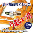 【ふるさと納税】活〆越前 紅ずわいがに × 1杯 旨味満載!!【浜茹で かに カニ 蟹 姿 ボイル 冷蔵 福井県】【10月発送分】希望日指定不可 [e37-x0...
