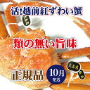 【ふるさと納税】活!越前 紅ずわいがに × 1杯 旨味満点!!【かに カニ 蟹 姿 生 ボイル 冷蔵 福井県】【10月発送分】希望日指定不可 [e37-x002...