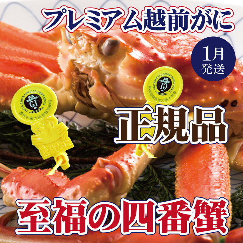 【ふるさと納税】越前がに × 1杯（四番蟹）至福のプレミアム越前がに【雄 ズワイガニ ずわいがに 姿 生 ボイル 冷蔵 福井県】【1月発送分】希望日指定可 備考欄に希望日をご記入ください [e37-x003_01]のサムネイル