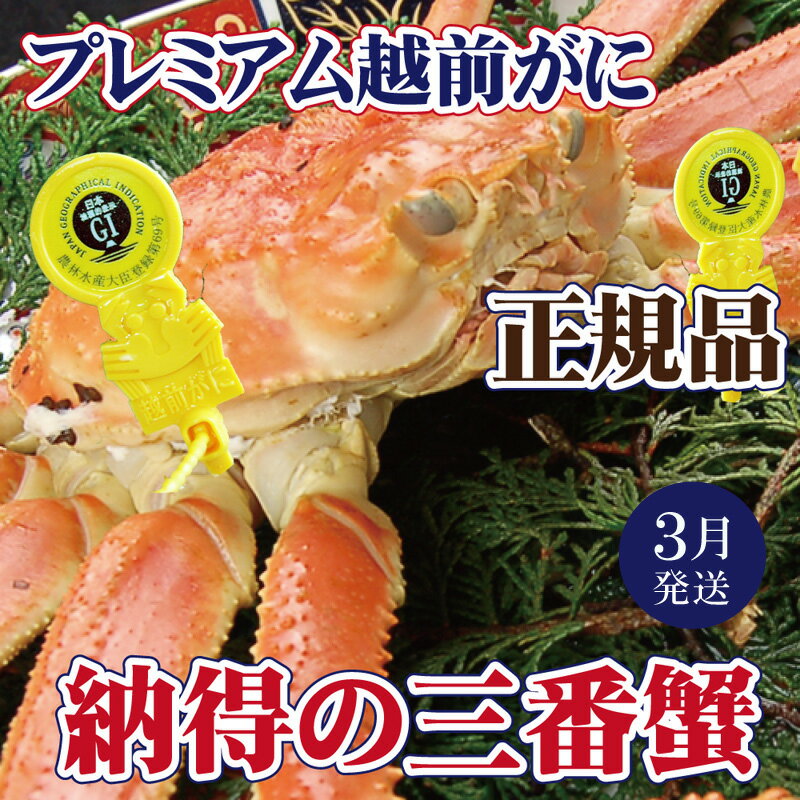 越前がに × 1杯(三番蟹)納得のプレミアム越前がに[雄 ズワイガニ ずわいがに 姿 生 ボイル 冷蔵 福井県][3月発送分]希望日指定可 備考欄に希望日をご記入ください [e37-x004_03]