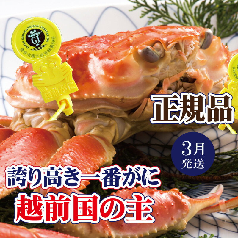 【ふるさと納税】越前がに × 1杯（一番蟹）越前国の主！越前がにの象徴【雄 ズワイガニ ずわいがに 姿 生 ボイル 冷蔵 福井県】【3月発送分】希望日指定可 備考欄に希望日をご記入ください [e37-x006_03]