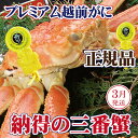 【ふるさと納税】越前がに × 1杯(三番蟹)桐箱入り!納得のプレミアム越前がに【雄 ズワイガニ かに カニ 蟹 姿 生 ボイル 冷蔵 福井県】【3月発送分】希望...