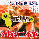 【ふるさと納税】越前がに × 1杯(二番蟹)桐箱入り!究極のプレミアム越前がに【雄 ズワイガニ かに カニ 蟹 姿 生 ボイル 冷蔵 福井県】【1月発送分】希望...