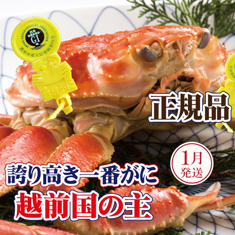 【ふるさと納税】越前がに × 1杯（一番蟹）桐箱入り！越前国の主！越前がにの象徴【雄 ズワイガニ かに カニ 蟹 姿 生 ボイル 冷蔵 福井県】【1月発送分】希望日指定可 備考欄に希望日をご記入ください [e37-x010_01]