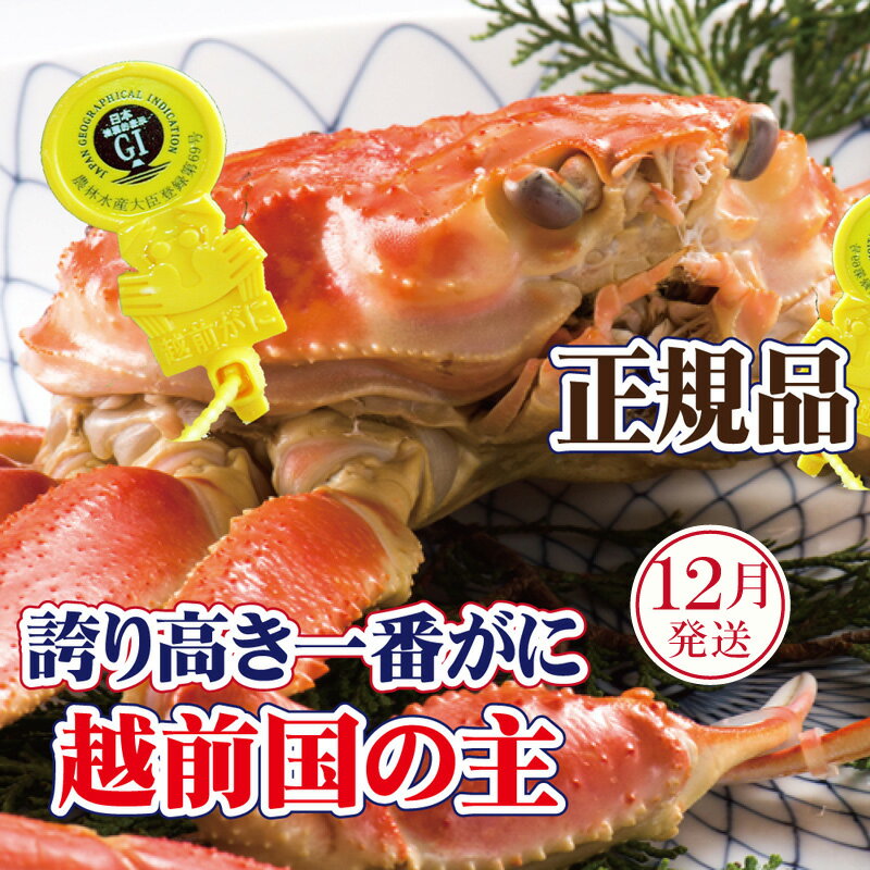 【ふるさと納税】越前がに × 1杯（一番蟹）桐箱入り！越前国の主！越前がにの象徴【雄 ズワイガニ かに カニ 蟹 姿 生 ボイル 冷蔵 福井県】【12月発送分】希望日指定可 備考欄に希望日をご記入ください [e37-x010_12]
