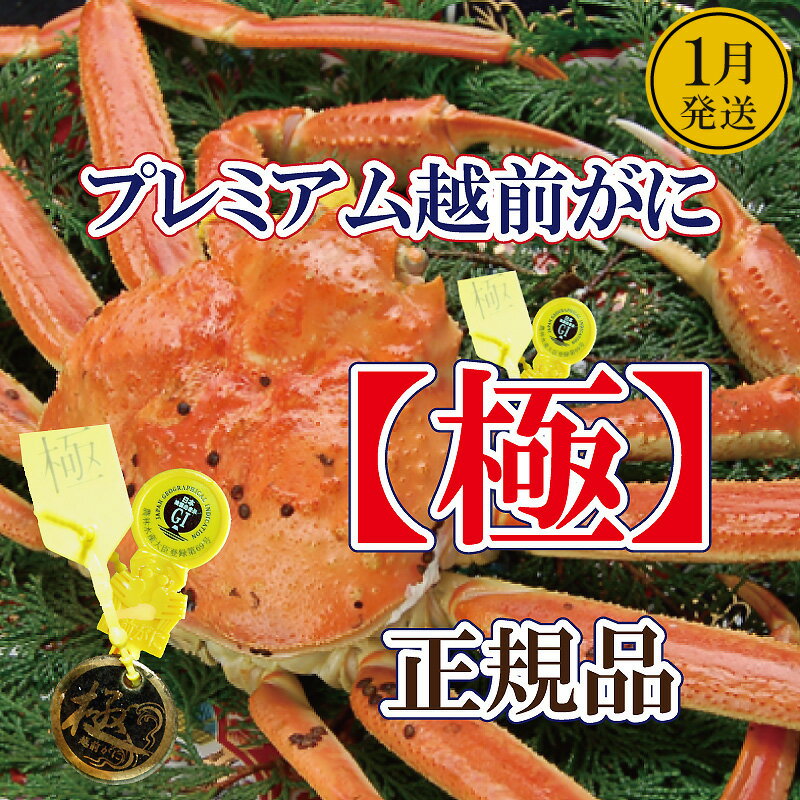【ふるさと納税】完全なる越前がに「極」 × 1杯 桐箱入り！越前がにの頂点【雄 ズワイガニ ずわいがに 姿 生 ボイル 冷蔵 福井県】【1月発送分】希望日指定可 備考欄に希望日をご記入ください [e37-x013_01]