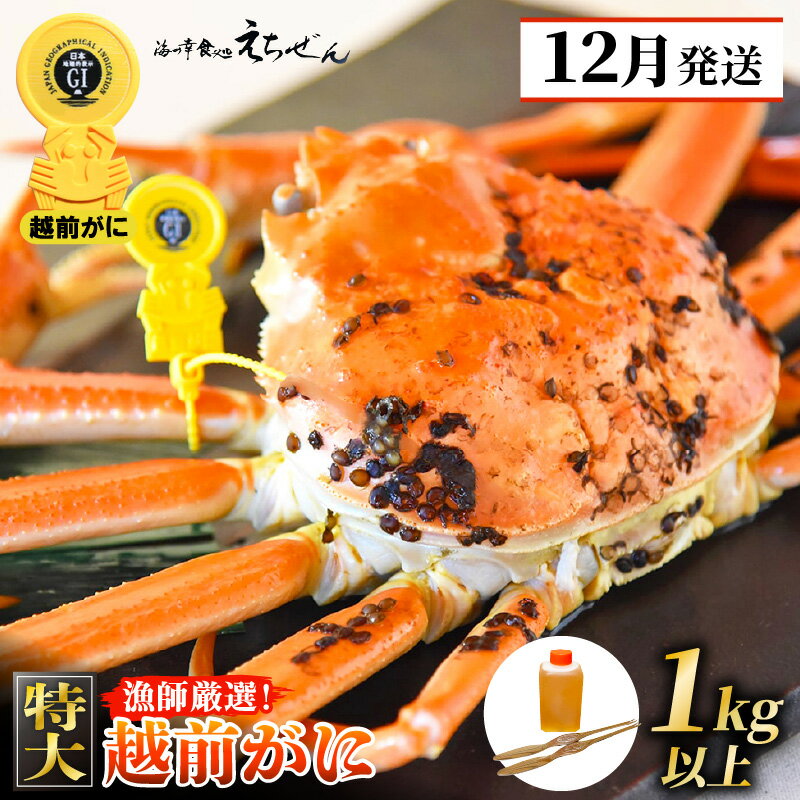 【ふるさと納税】≪浜茹で≫ 越前がに 特大 × 1杯(生で1kg以上)かに酢 かにスプーン2本 食べ方QRコード付き【雄 ズワイガニ ずわいがに 越前ガニ 姿 ...
