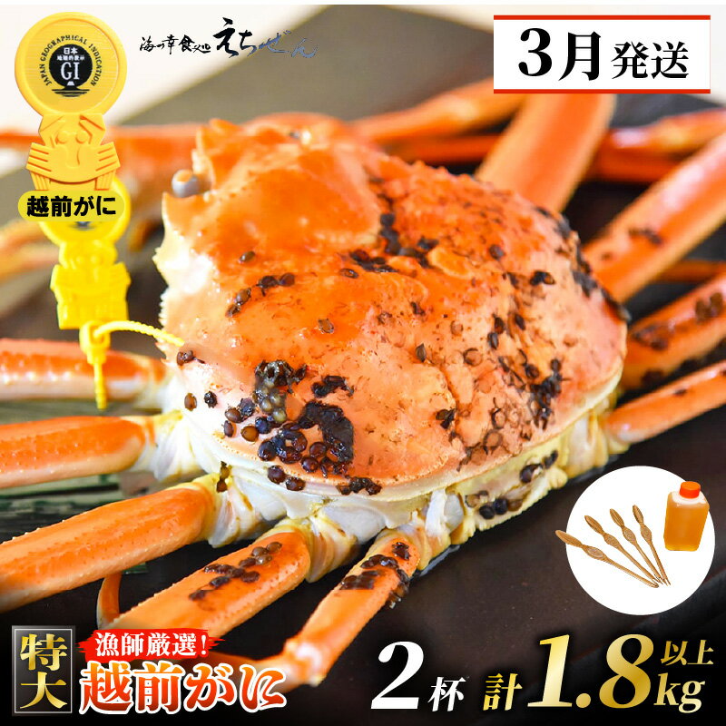 【ふるさと納税】≪浜茹で≫ 越前がに 特大 × 2杯（生で計1.8kg以上）かに酢 かにスプーン4本 食べ方QRコード付き【雄 ズワイガニ ずわいがに 姿 ボイル 冷蔵 福井県】【3月発送分】希望日指定可 備考欄に希望日をご記入ください [e38-x002_03]