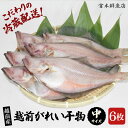 【ふるさと納税】【先行予約】 冷蔵配送! 越前産 赤かれい 干物 中サイズ 6枚 【2025年9月より順次発送】 添加物不使用 産地直送!こだわり一夜干し 調理...