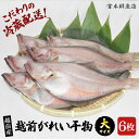 【ふるさと納税】【先行予約】冷蔵配送! 越前産 赤かれい 干物 大サイ...(4)