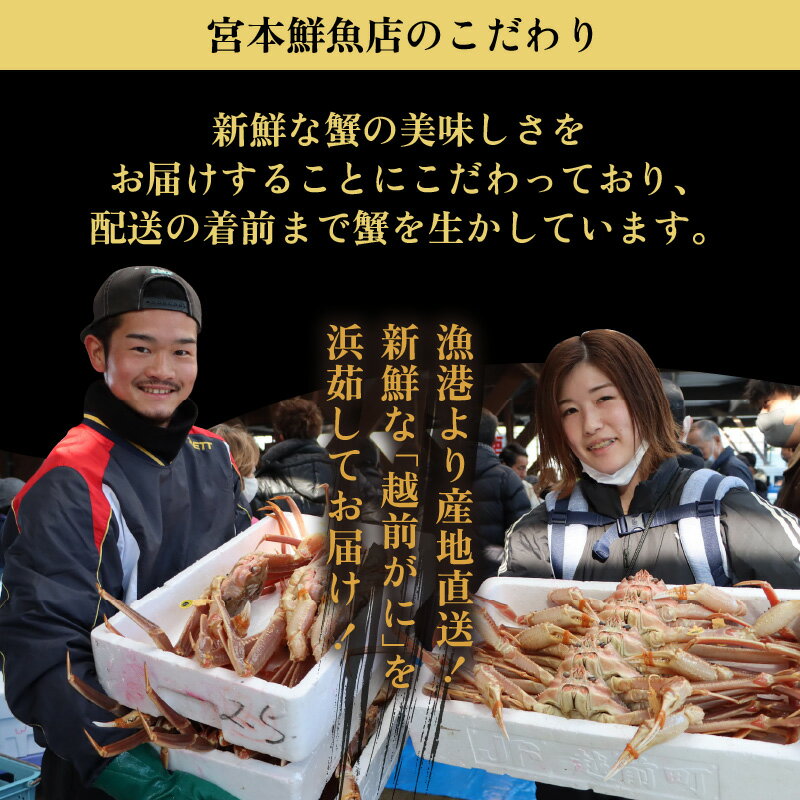 【ふるさと納税】【訳あり】≪浜茹で≫越前がに 小サイズ（生で400〜600g） × 1杯【雄 ズワイガニ 越前ガニ 姿 ボイル 冷蔵 かに カニ 蟹 福井県】【12月発送分】希望日指定可 備考欄に希望日をご記入ください [e43-x001_12]