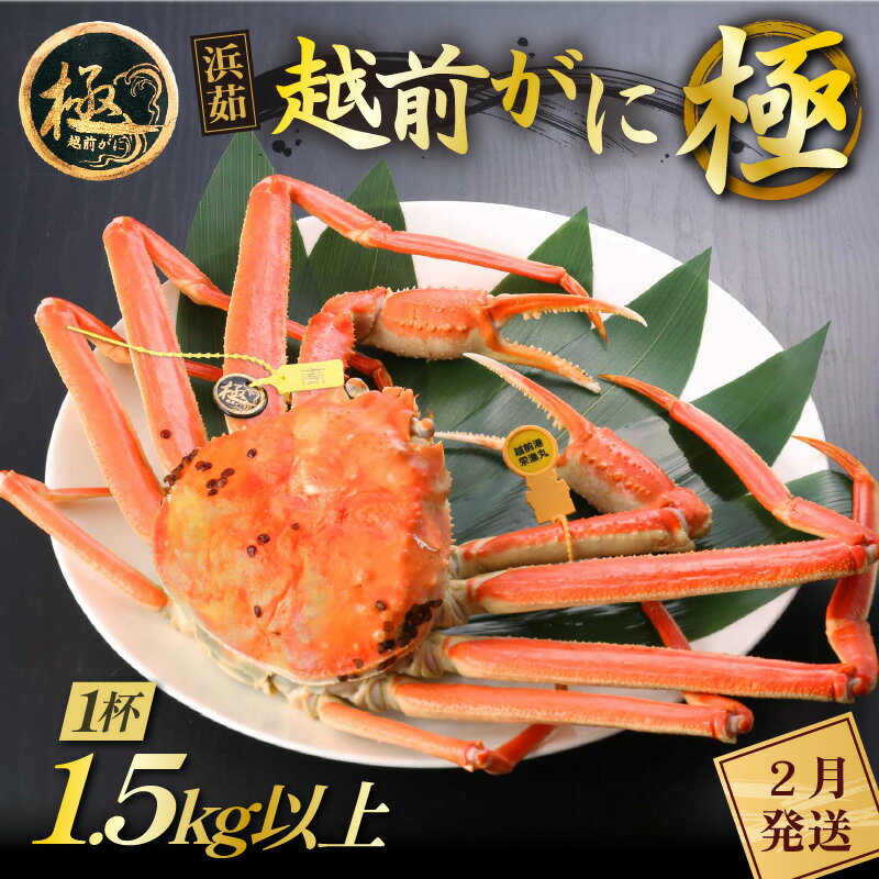 【ふるさと納税】≪浜茹で≫越前がに 極(生で1.5kg以上) × 1杯【雄 ズワイガニ 越前ガニ 姿 ボイル 冷蔵 かに カニ 蟹 福井県】【2月発送分】希望日...