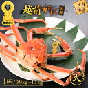 【ふるさと納税】【訳あり】≪浜茹で≫越前がに 大サイズ(生で0.9〜1.1kg) × 1杯【雄 ズワイガニ 越前ガニ 姿 ボイル 冷蔵 かに カニ 蟹 福井県】...