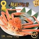 【ふるさと納税】≪浜茹で≫越前がに 大サイズ（生で0.9〜1.1kg） × 1杯【雄 ズワイガニ 越前ガニ 姿 ボイル 冷蔵 かに カニ 蟹 福井県】【3月発送分】希望日指定可 備考欄にメールアドレスをご記入ください [e43-x003_03]