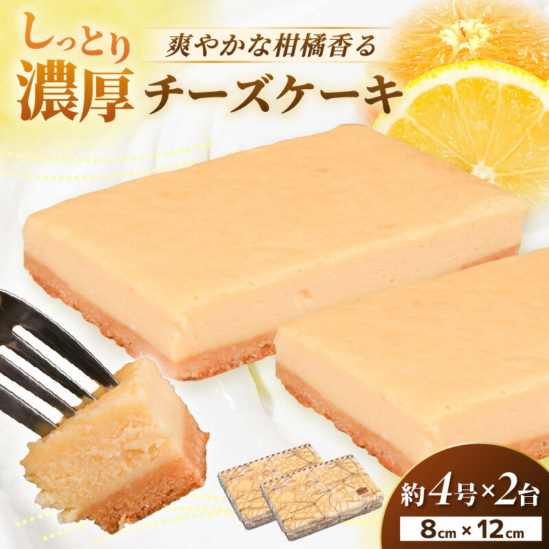 【ふるさと納税】【訳あり】濃厚スイーツ チーズケーキ スクエア（8cm×12cm×2個セット）【発送月をお選びください】【デザート 菓子 お菓子 洋菓子 スイーツ おやつ クッキー生地 冷凍】 [e44-a014]