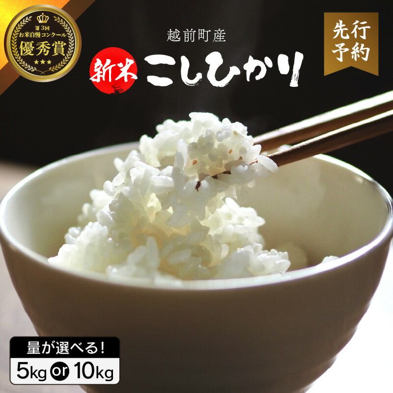 【ふるさと納税】【新米・先行予約】お米 こしひかり 5kg / 10kg（精米）令和7年 福井県産 炊きたての美味しさを追求したお米【米 コメ kome 5キロ 10キロ 精米 白米 人気品種 便利】【2025年10月下旬以降順次発送開始！】