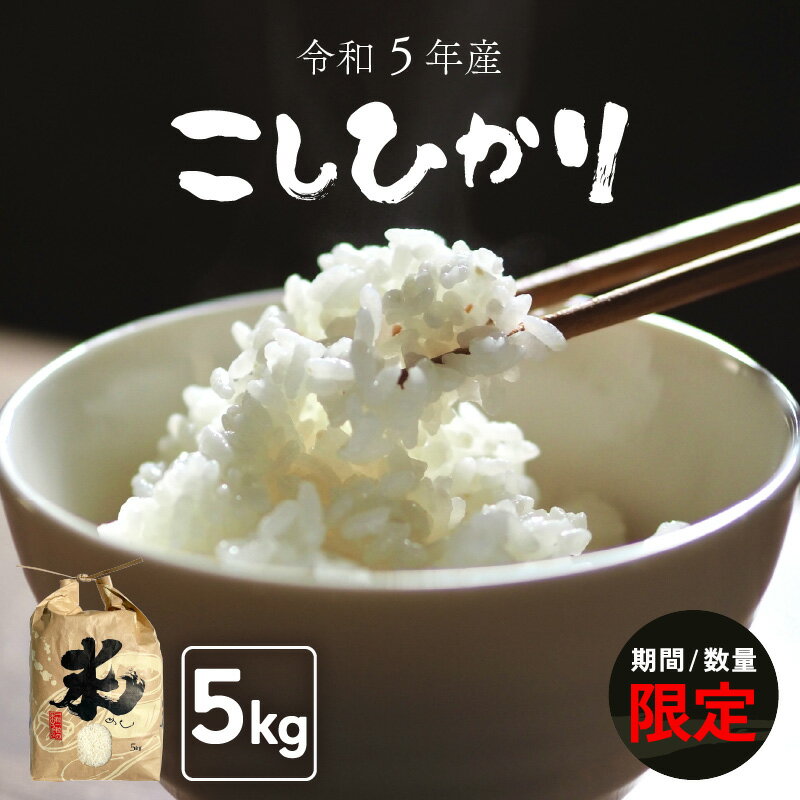 【ふるさと納税】【受付終了近い！4月30日】お米 こしひかり 5kg（精米）令和5年産 炊きたての美味しさを追求したお米【米 白米 コシヒカリ 5キロ 福井県】 [e47-a002]