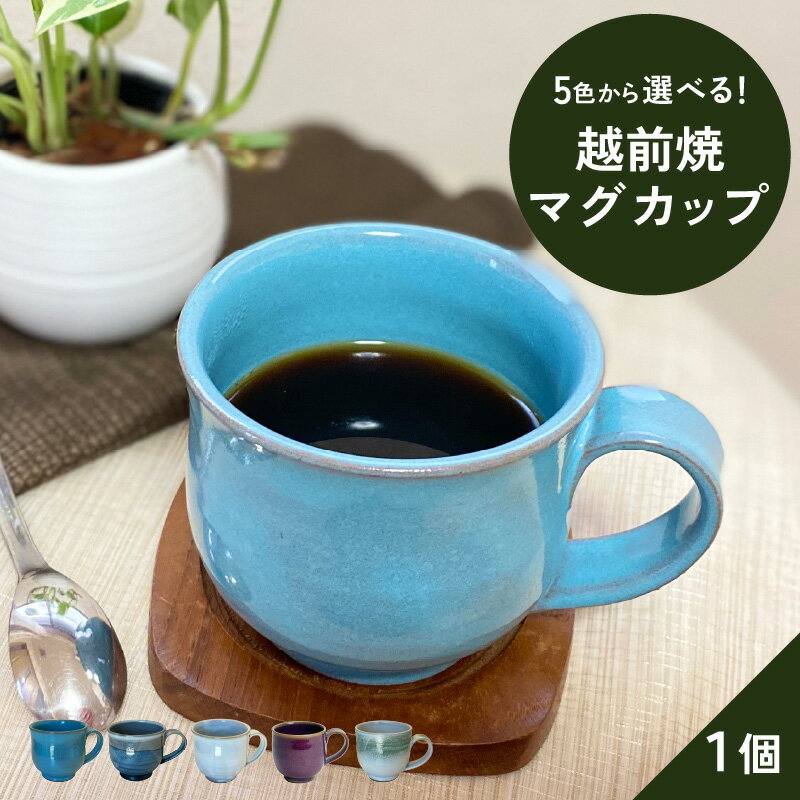 【ふるさと納税】【越前焼】洗心窯