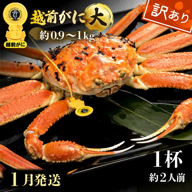 【ふるさと納税】【訳あり】≪浜茹で≫越前がに 大サイズ(生で約0.9〜1kg) × 1杯 約2人前 食べ応えあり!【雄 ズワイガニ 越前ガニ 姿 ボイル 冷蔵 ...