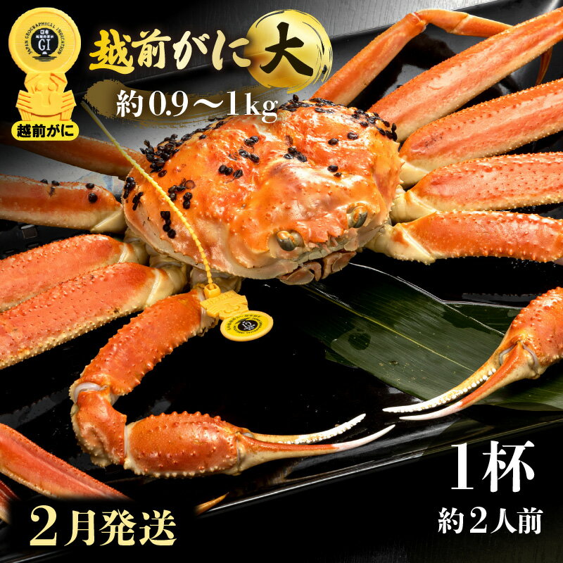 【ふるさと納税】≪浜茹で≫越前がに 大サイズ（生で約0.9〜1kg） × 1杯 約2人前 食べ応えあり！【雄 ズワイガニ 越前ガニ 姿 ボイル 冷..