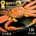 【ふるさと納税】≪浜茹で≫越前がに 大サイズ(生で約0.9〜1kg) × 1杯 約2人前 食べ応えあり!【雄 ズワイガニ 越前ガニ 姿 ボイル 冷蔵 かに カニ...