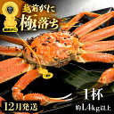 【ふるさと納税】≪浜茹で≫越前がに 極落ち(生で約1.4kg以上) × 1杯 食べ応え 旨味充分!【雄 ズワイガニ 越前ガニ 姿 ボイル 冷蔵 かに カニ 蟹 ...