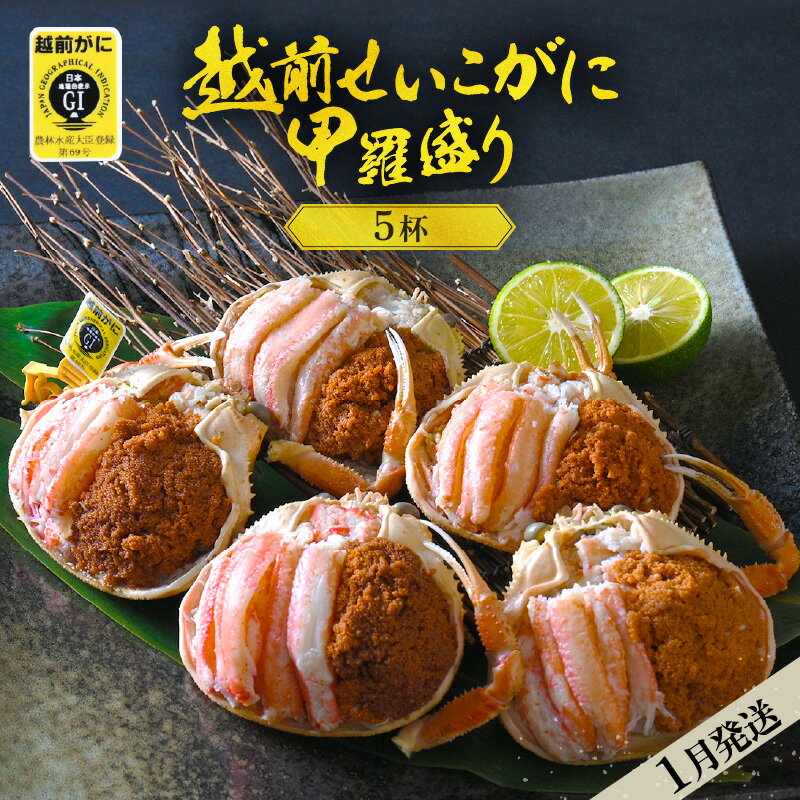 【ふるさと納税】珍しい冷蔵発送! 越前せいこ蟹 甲羅盛り「身出し」5杯 鮮度にこだわり「産地直送」!【雌 ズワイガニ】【越前がに せいこがに セイコガニ ボイル...