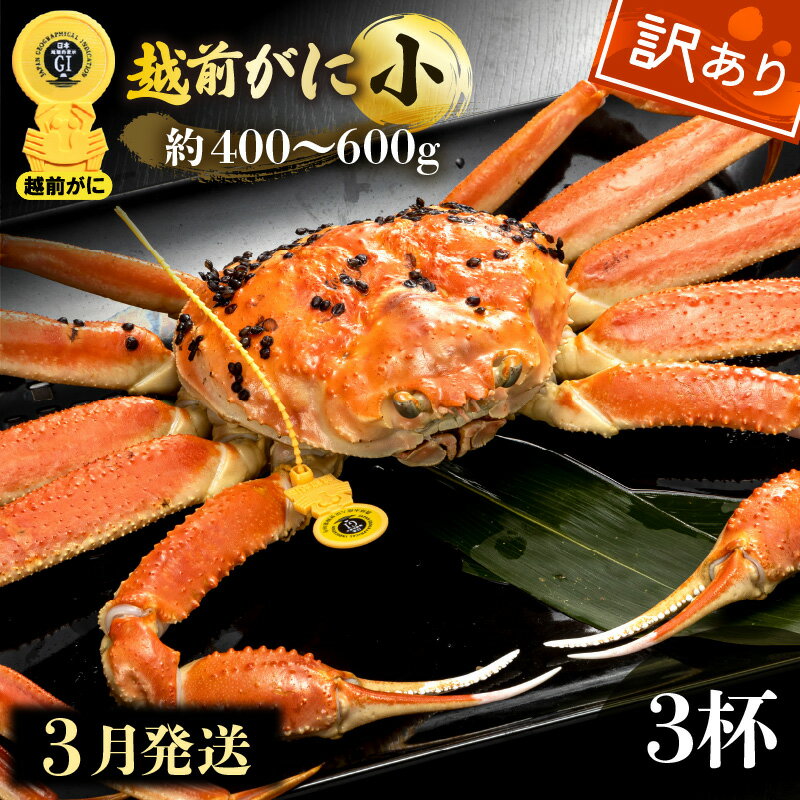 【ふるさと納税】【訳あり】≪浜茹で≫越前がに 小サイズ（生で約400～600g） × 3杯【雄 ズワイガニ 越前ガニ 姿 ボイル 冷蔵 かに カニ 蟹 福井県】【3月発送分】希望日指定可 備考欄に希望日をご記入ください [e49-x007_03]