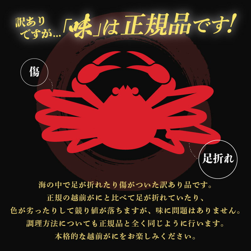 福井県越前町の画像3