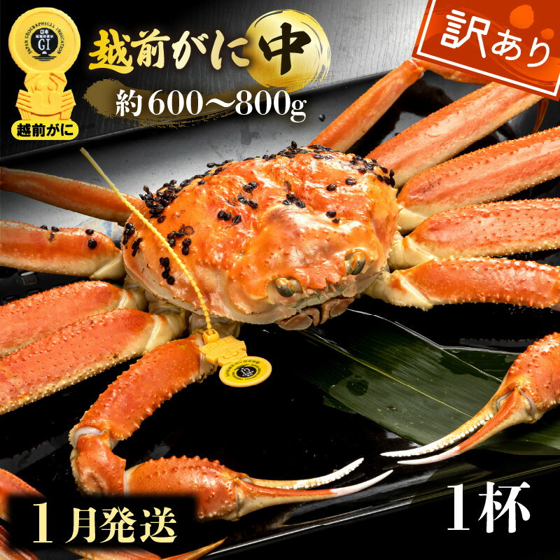 ڤդ뤵Ǽǡۡۢ觤Ǣ 極600800g  1աͺ 磻   ܥ ¢    ʡ温...