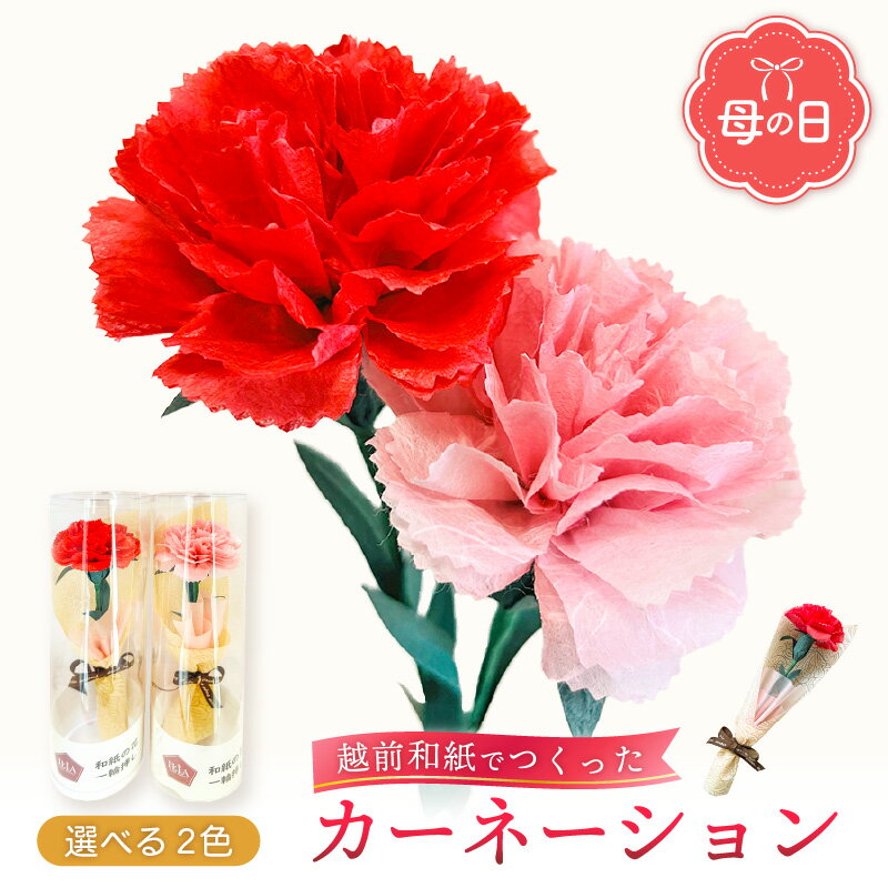【ふるさと納税】【先行予約】【母の日】カーネーション 花 ギフト 越前和紙 花一輪挿し 【2025年5月発送】「永遠の感謝」 メッセージ （赤色 / ピンク色 どちらかお選びください）【 フラワーギフト 和紙花 手軽 コンパクト メッセージカード 1万円以下】のサムネイル