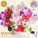 【ふるさと納税】【先行予約】敬老の日限定 そのまま飾れる フラワーアレンジメント 生花【9月12日〜15日発送】感謝を大切な人に メッセージカード付・越前和紙 ...