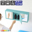 【ふるさと納税】鏡付き ウォールラック WB-DXミラーE-M aino「パステルカラー」ワンプッシュで開閉できるミラー扉付き!【日本製 完成品 家具 インテリ...