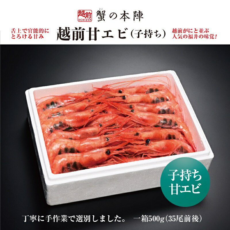 14位! 口コミ数「0件」評価「0」 越前甘エビ500g（35尾前後） 子持ち