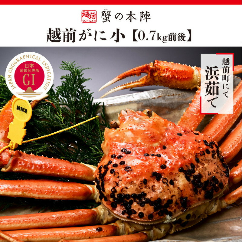 【ふるさと納税】冬の日本海の味　浜茹で【越前がに　0.7kg前後】11月～翌3月順次発送 [e56-x004]