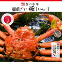 【ふるさと納税】冬の日本海の味　浜茹で【越前がに　極み】11月～翌3月順次発送 [e56-x007]